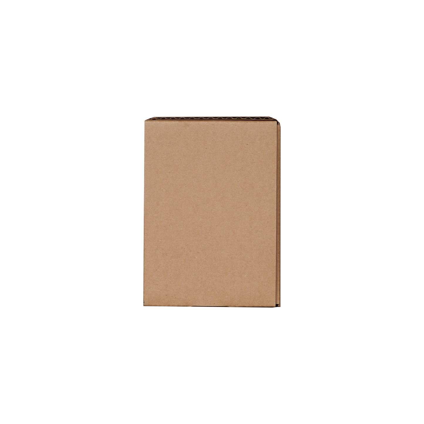 PokéProtection Toploader Storage Box Single Row