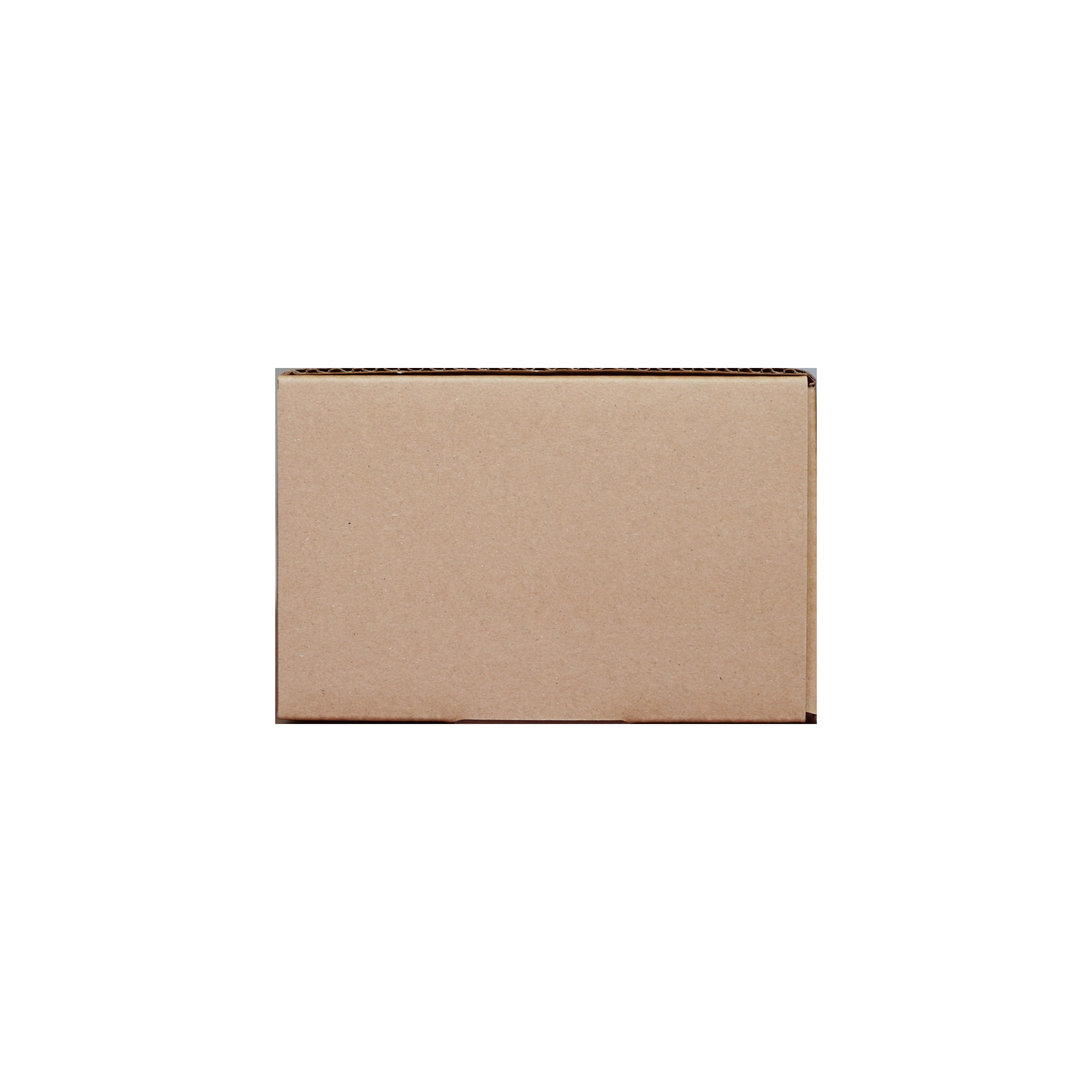 PokéProtection Trading Card Storage Box Double Row - 2000 Cards