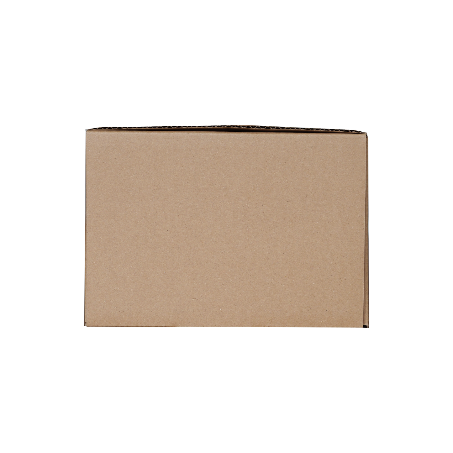 PokéProtection Toploader Storage Box Double Row