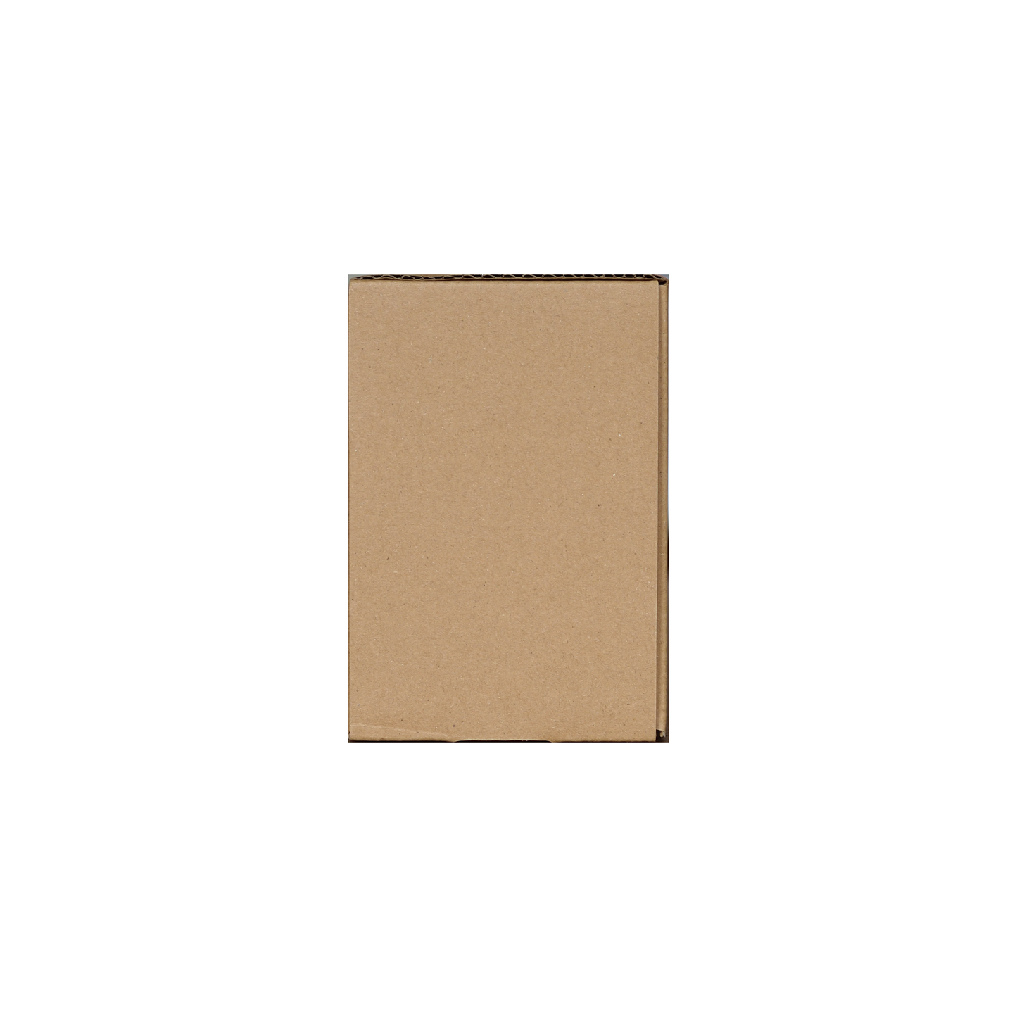 PokéProtection Graded Card Slab Storage Box