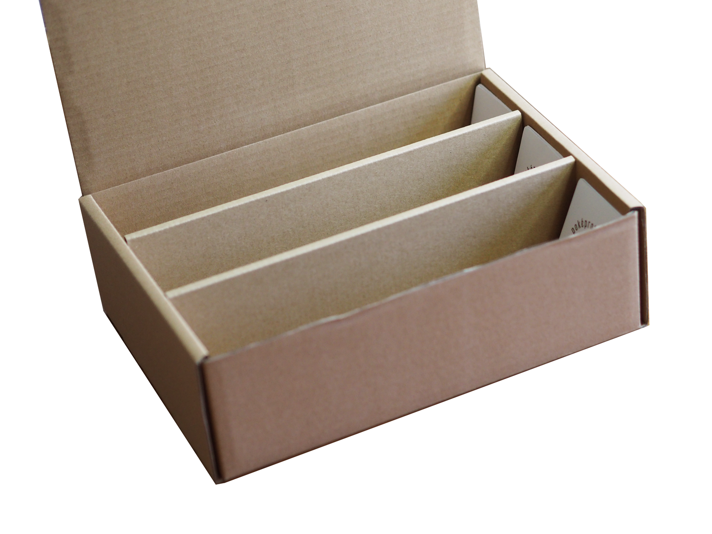 PokéProtection Trading Card Storage Box Triple Row - 3000 Cards